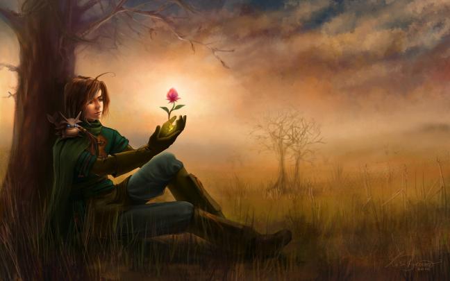 High definition desktop wallpaper of Boy, photo of tree, flower 