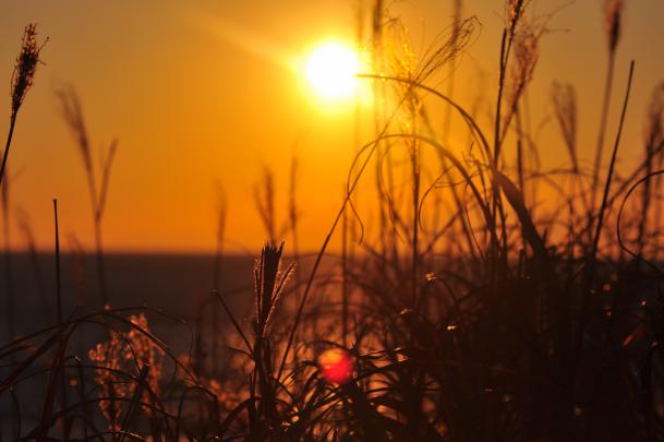 High definition desktop wallpaper of landscape, desktop wallpaper of 