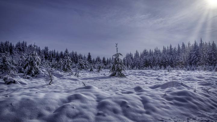Nature. Desktop wallpaper. 1920x1080