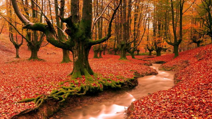 Widescreen HD Desktop Wallpapers (31 Wallpapers) \u2013 Adorable Wallpapers