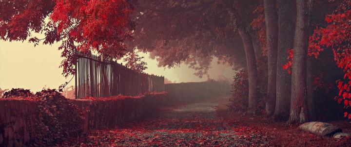 ultra wide, Photography, Nature Wallpapers HD \/ Desktop and Mobile 