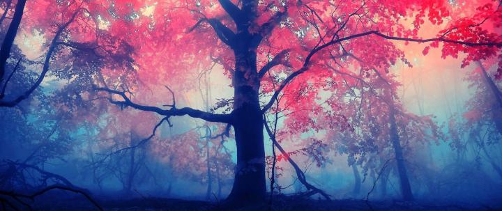 ultra wide, Photography, Nature Wallpapers HD \/ Desktop and Mobile 