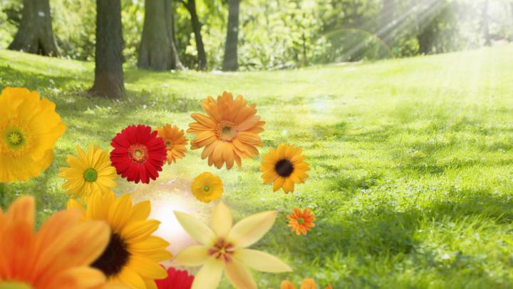 Desktop Backgrounds Widescreen \u00b7\u2460 