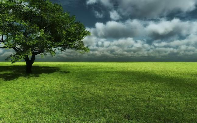 HD Wallpapers: desktop wallpaper hd widescreen