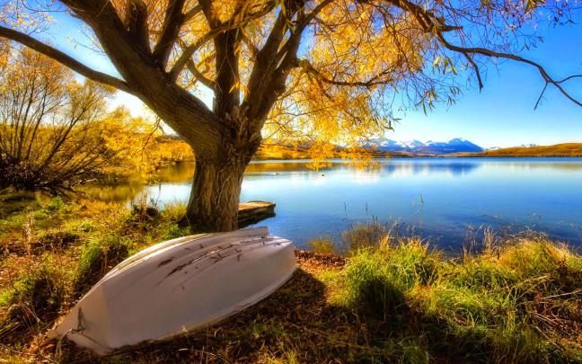 HD Wallpapers: Wide Screen Desktop HD Wallpapers