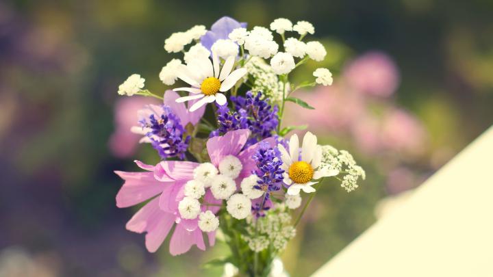 Bouquet of wildflowers Wallpaper for Desktop 1920x1080 Full HD