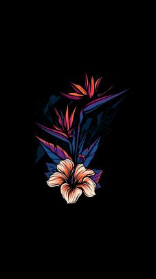 Witch Aesthetic Wallpapers