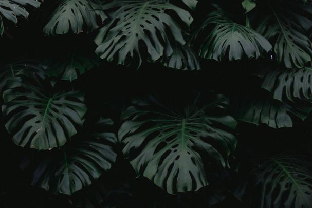 Witch Aesthetic Desktop Wallpapers - Top Free Witch Aesthetic Desktop 