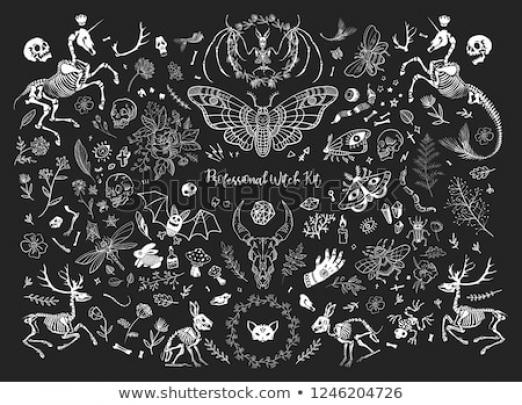 Aesthetic Witchy Laptop Backgrounds : Hd Wallpaper Dark Hour Occult 