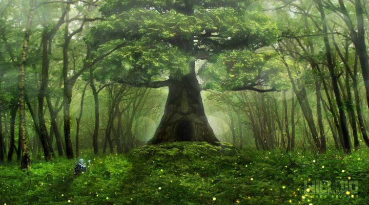 Zelda, Forest, The Legend of Zelda, Trees, Green, Nintendo Wallpapers 