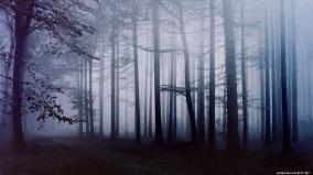 Best Desktop Wallpapers 4k