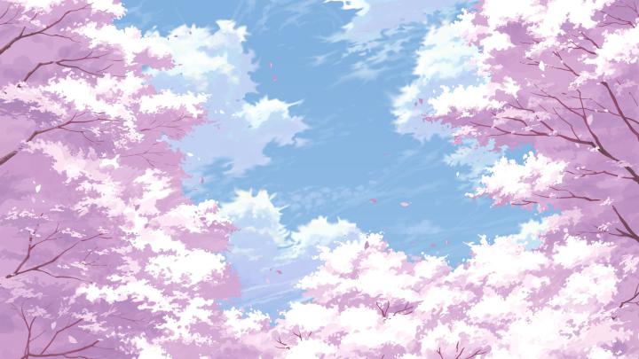 Cherry Blossom Tree Wallpapers - Top Free Cherry Blossom Tree 