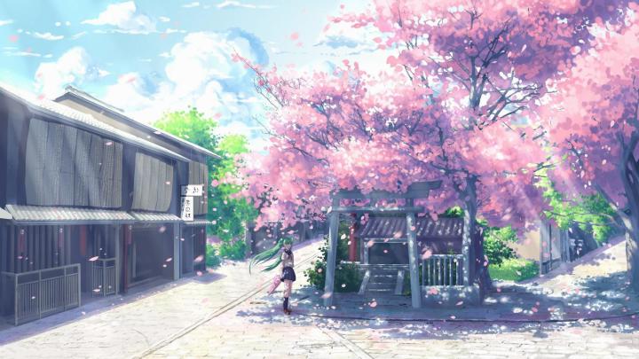 Anime Cherry Blossom Wallpapers - Top Free Anime Cherry Blossom 