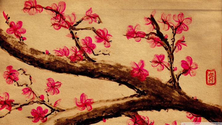 [44+] Bing Cherry Blossom Wallpaper 