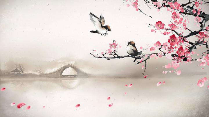 Drawn Cherry Blossom Desktop Wallpapers - Top Free Drawn Cherry Blossom 
