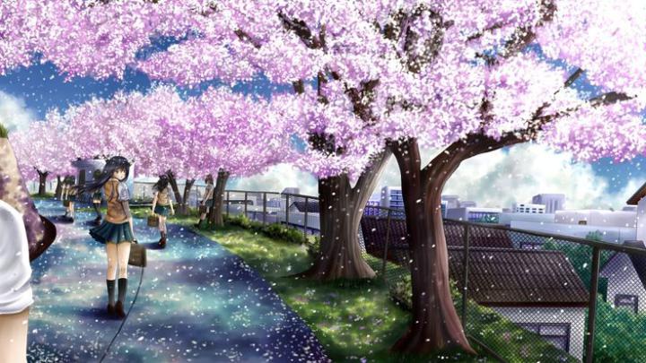 1920x1080 Cherry Blossom Anime wallpaper - 1362511 | Anime cherry 