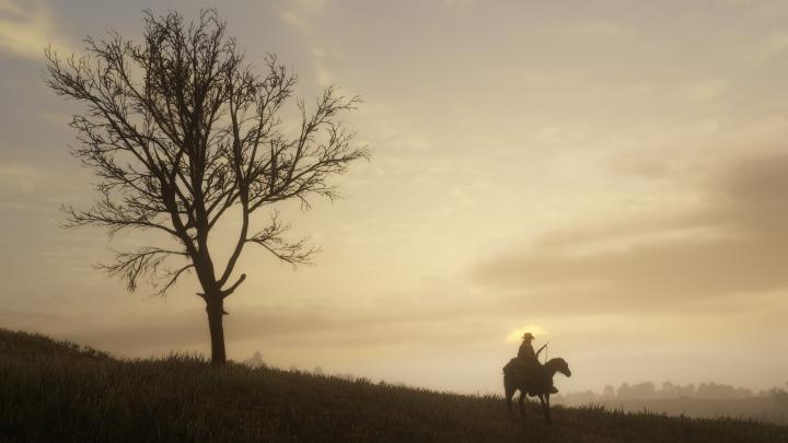 2018 Red Dead Redemption 2 PS4 4k, HD Games, 4k Wallpapers, Images 