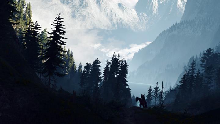 Beautiful The Witcher Wallpaper 4k - wallpaper craft