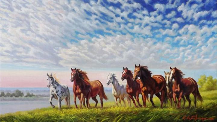 Vastu 7 Horse Hd Wallpapers 1920x1080