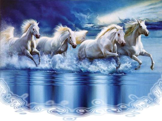 Full Screen Vastu 7 Horse Hd Wallpapers 1920x1080