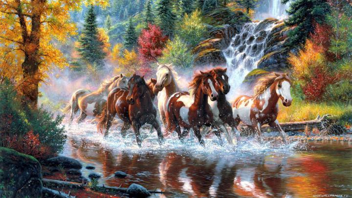 7 Horse Hd Wallpapers 1920x1080