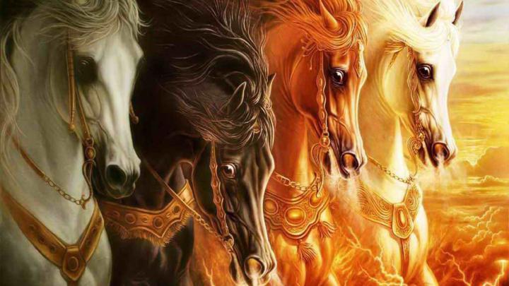 7 Horse Hd Wallpapers 1920x1080