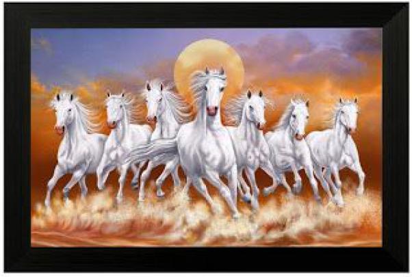 White Horse 7 Horse Hd Wallpapers 1920x1080