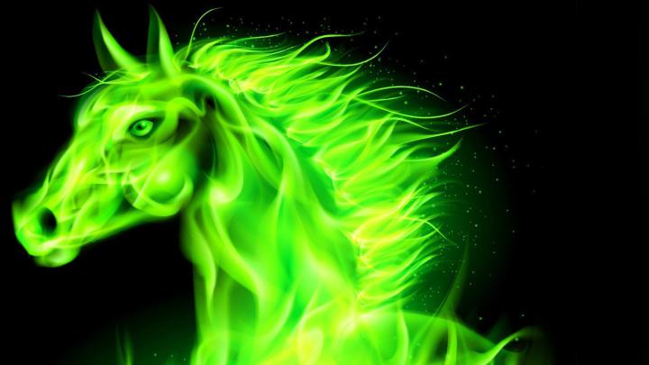Full Screen 7 Horse Hd Wallpapers 1920x1080