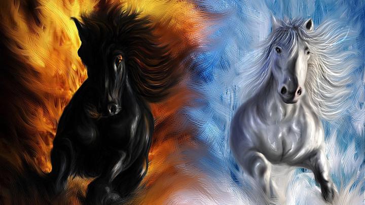 7 Horse Hd Wallpapers 1920x1080 Download