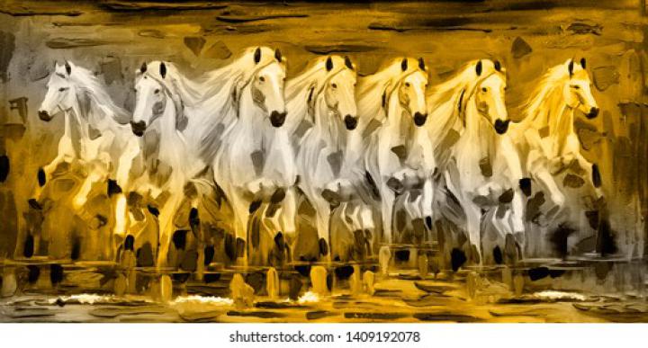 White Horse Pictures Full Hd 7 Horse Hd Wallpapers 1920x1080 