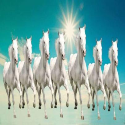 7 Horse Wall Papper Hd : Big Size Hd Seven Running Horses Vastu 