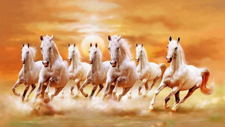 7 Horse Hd Wallpapers 1920x1080 - New Smartphone Wallpaper