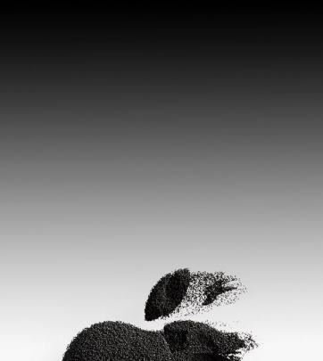 Apple Wallpaper 4k White - Wallpaper