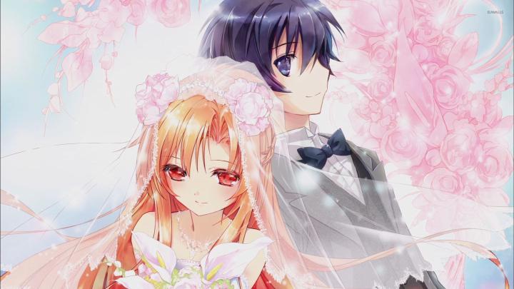 Kirito and Asuna - Sword Art Online [2] wallpaper - Anime wallpapers 