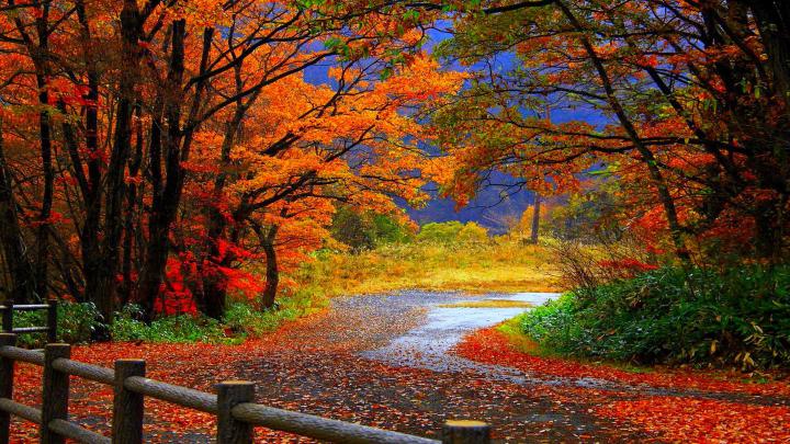Autumn wallpaper Widescreen \u00b7\u2460 Download free amazing High Resolution 