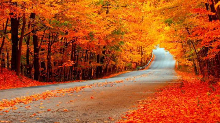 HD Fall Wallpapers (60+ images)