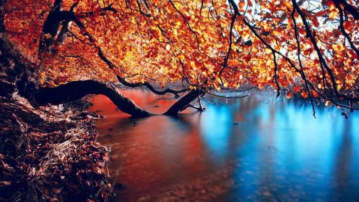 1920x1080 Fall Wallpapers
