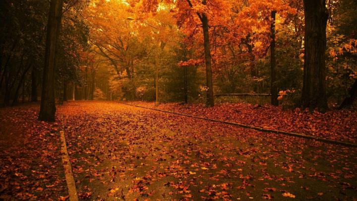 1920x1080 Fall Wallpapers