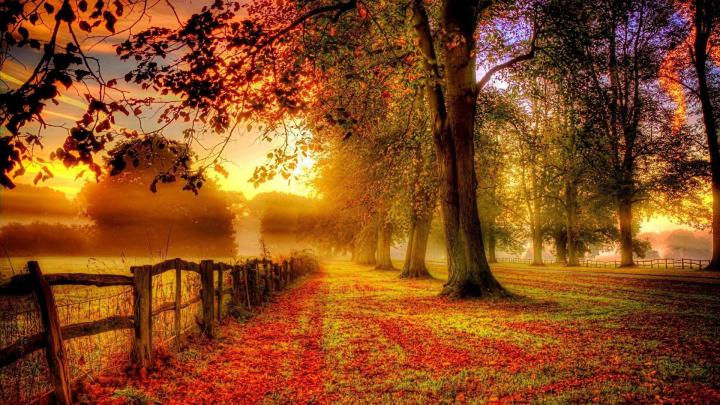 Best Autumn Wallpapers - Top Free Best Autumn Backgrounds - WallpaperAccess