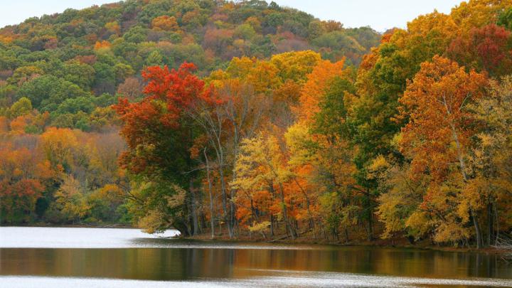 Beautiful Autumn HD Wallpapers 1920x1080 -