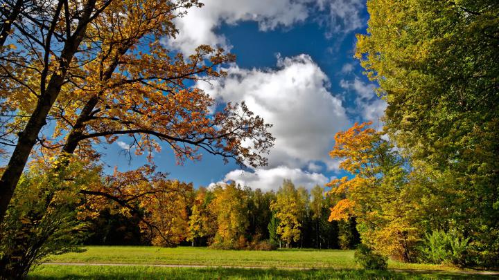 1920x1080 HD Autumn Wallpapers -