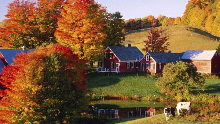 Autumn Desktop Background \u00b7\u2460 