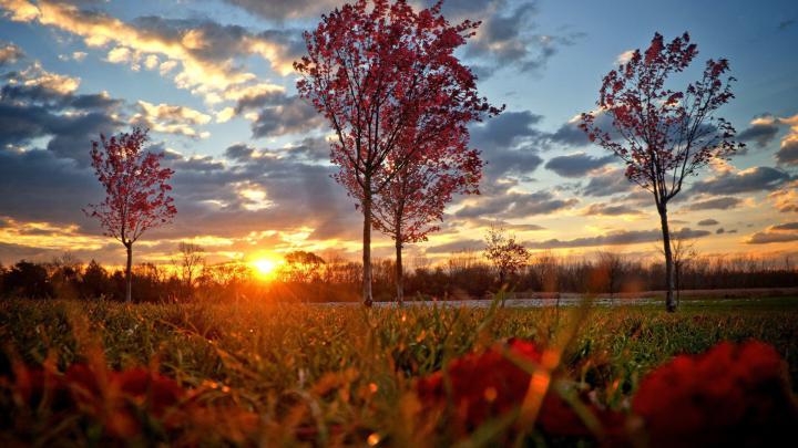 [39+] Beautiful Autumn HD Wallpapers 1920x1080 