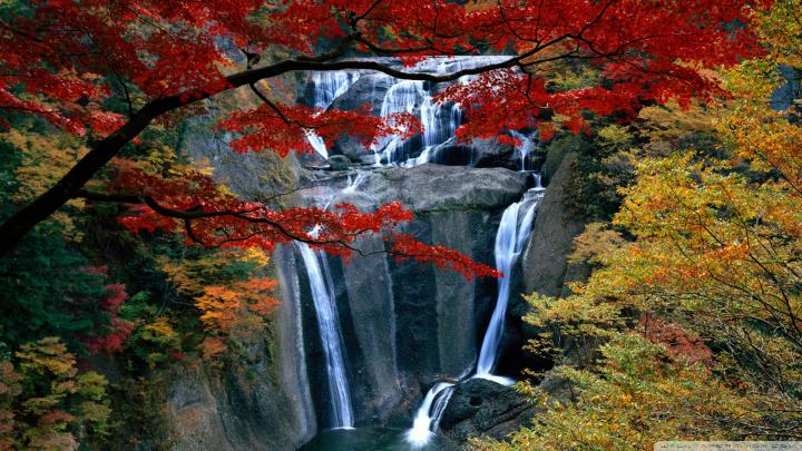 [39+] Beautiful Autumn HD Wallpapers 1920x1080 