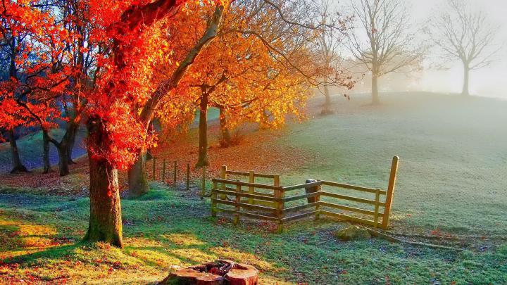 Beautiful Autumn painting - Sunlight on the field Wallpaper Download 