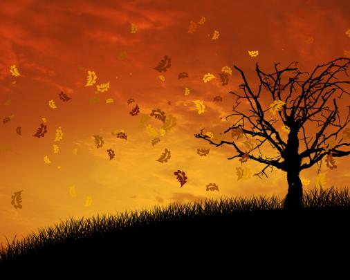 Free download 1920x1080 autumn desktop wallpaper1920x1080 autumn 