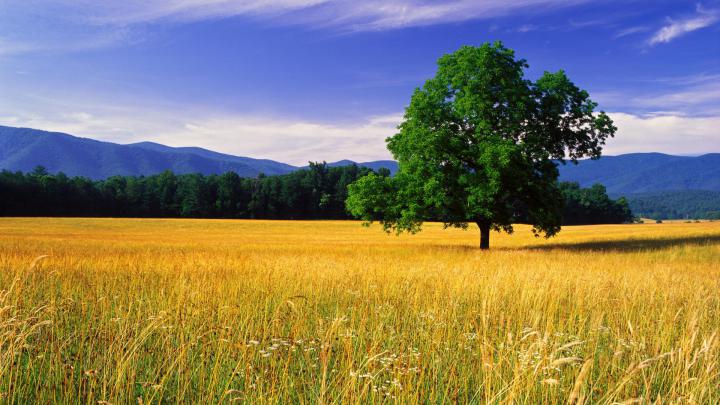 Free download nature landscape beautiful photos best desktop landscape 