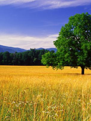 Free download nature landscape beautiful photos best desktop landscape 