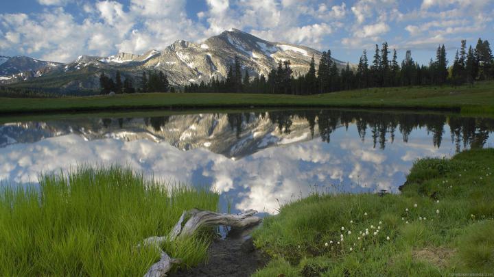Free download Best HD Wallpapers Desktop Wallpapers 1920x1080 