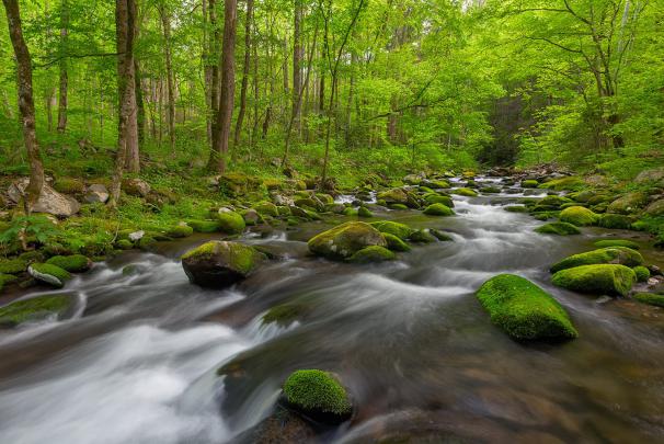 Hd Natural Wallpapers For Laptop (#2262956) - HD Wallpaper 